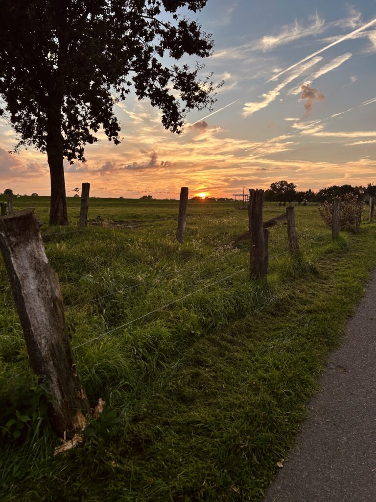 Sonnenuntergang (3)